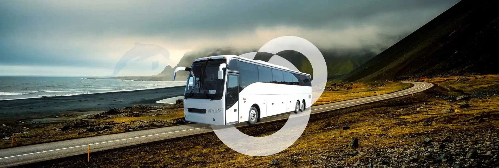 Online Bus Ticket Booking Dolphin Travel House